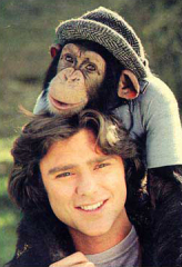 BJ & the Bear