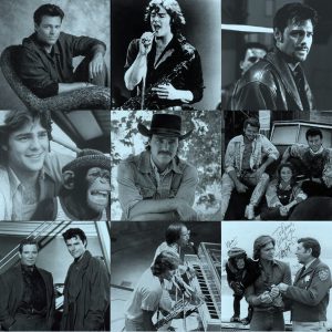 Greg Evigan bio